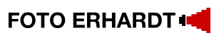 Brenner Logo